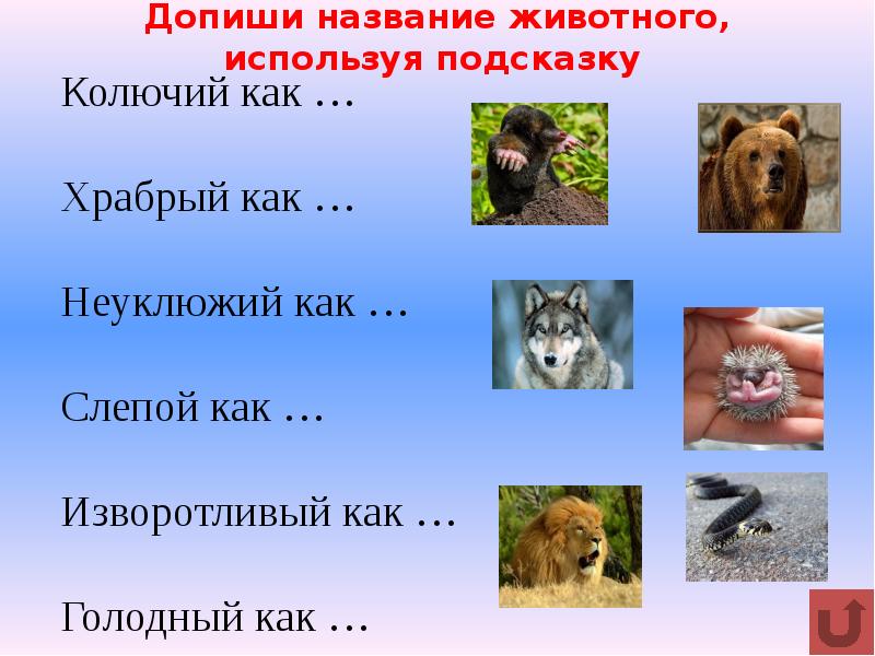 Как назвать питомца. Допиши названия животных. Имена животным. Звериные имена. Допиши клички для животных.