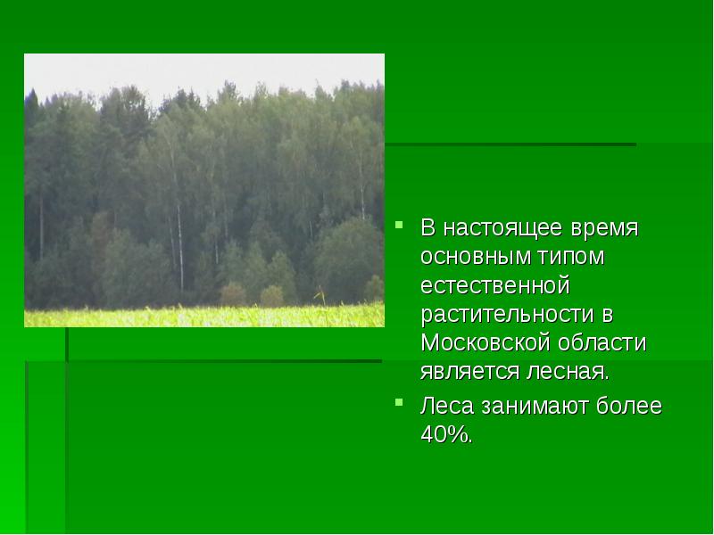 В настоящее время основным типом естественной растительности в Московской области является