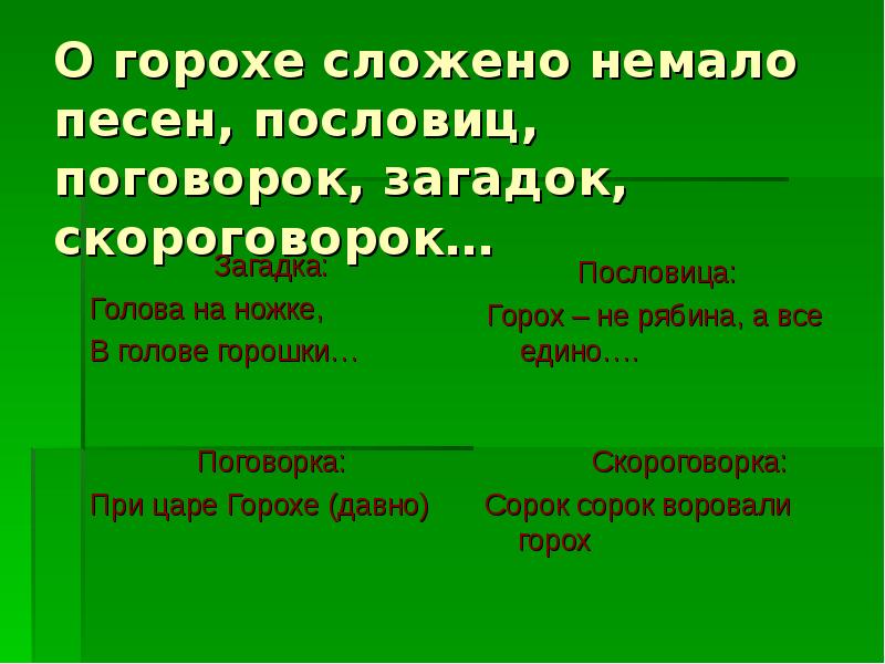 Загадка горох. Загадка про горох. Пословицы и поговорки про горох. Пословицы про горох. Пословицы про горох для детей.