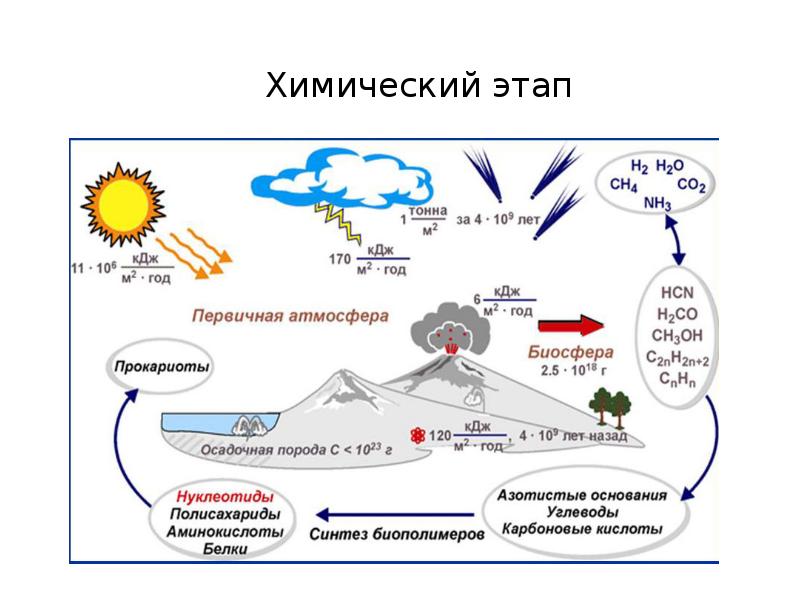 Гипотезы возникновения жизни на земле презентация 11 класс