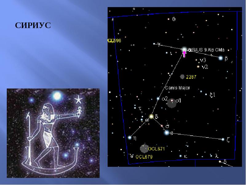 Большой пес созвездие презентация