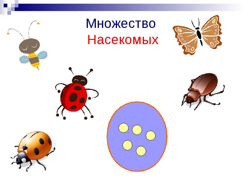 Презентация на тему сравнение