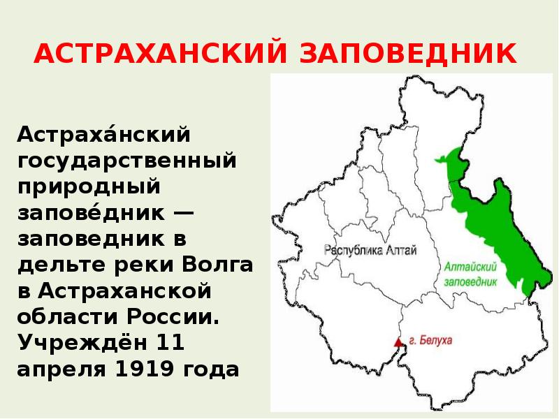 Астраханский заповедник что охраняет. Астраханский заповедник 1919. Астраханский заповедник на карте. Заповедник Астраханский заповедник. Границы Астраханского заповедника.