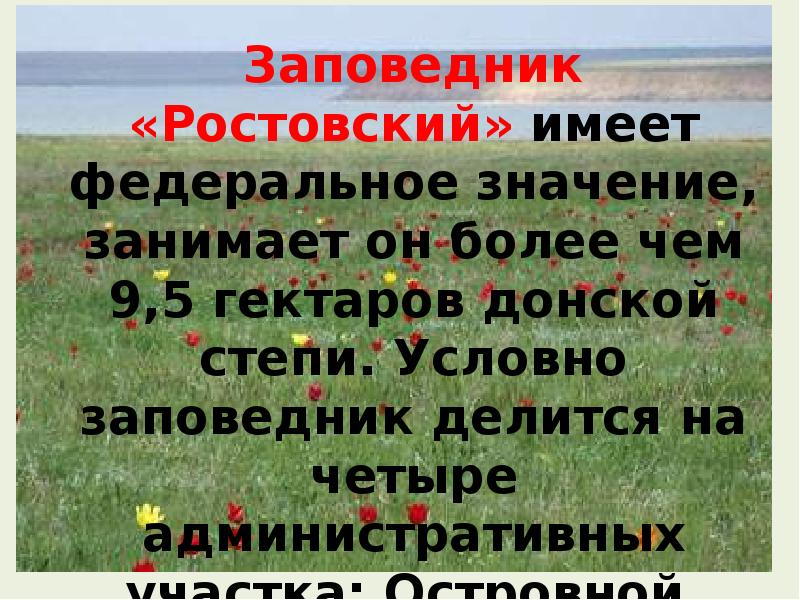 Заповедники ростовской области презентация