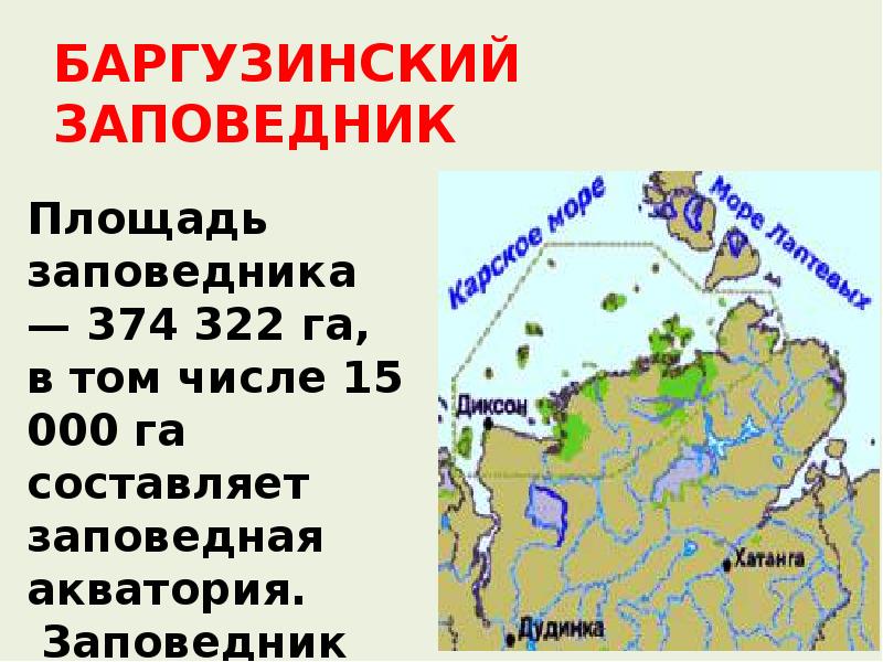 Заповедник сообщение 8 класс география. Баргузинский заповедник презентация. Баргузинский заповедник доклад. Доклад на тему Баргузинский заповедник. Баргузинский заповедник территория.