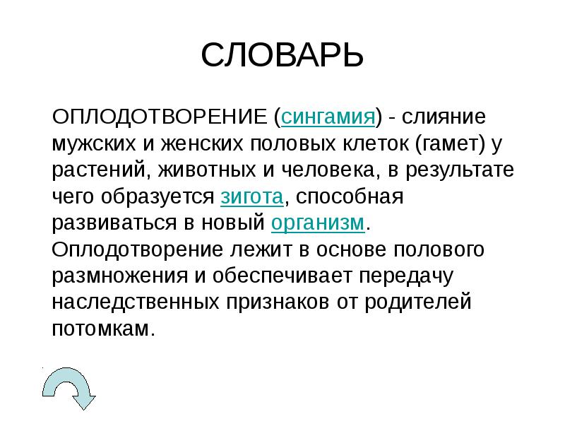 Как называется слияние мужских и женских гамет