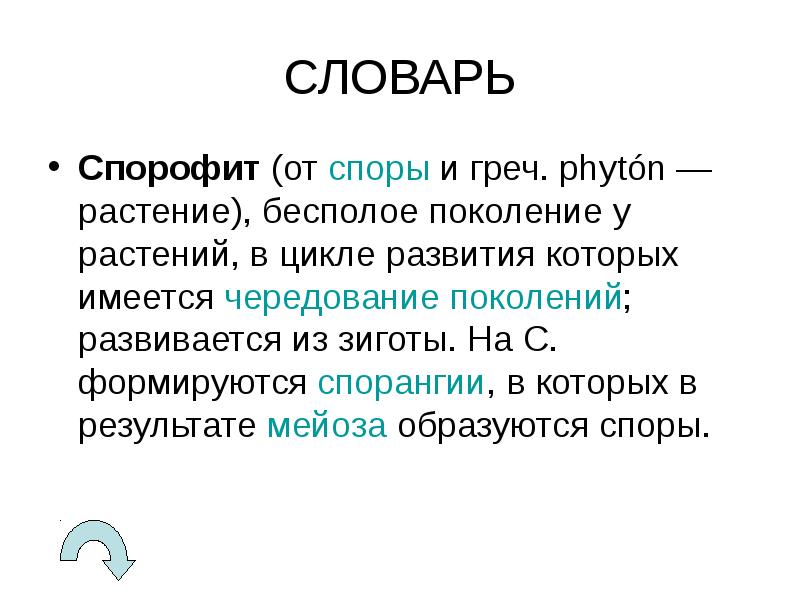 Цикл размножения папоротников презентация