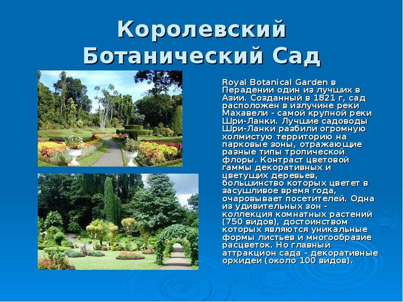 Королевский Ботанический Сад  	Royal Botanical Garden в Перадении один из