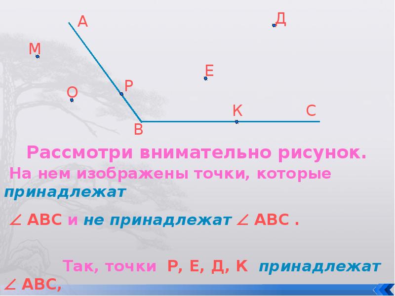 Виды углов 5 класс презентация