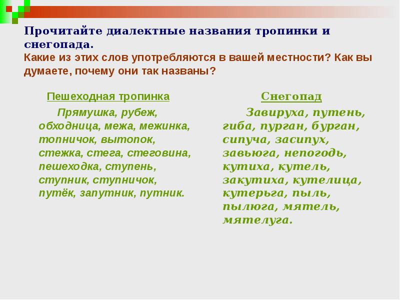 Урок по теме диалектизмы 6 класс презентация