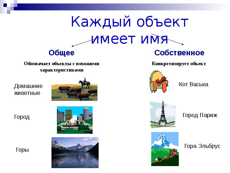 Классы объектов 3 класс. Объекты окружающего мира Информатика 6 класс. Презентация по объектам окружающего мира темы. Объект окружающего мира презентация. Объект окружающего мира примеры.