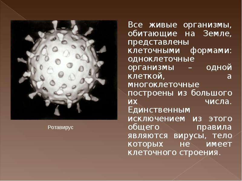 Презентация по биологии на тему вирусы. Вирусы это живые организмы. Вирусы являются живыми организмами. Является ли вирус живым. Вирусы вокруг нас.