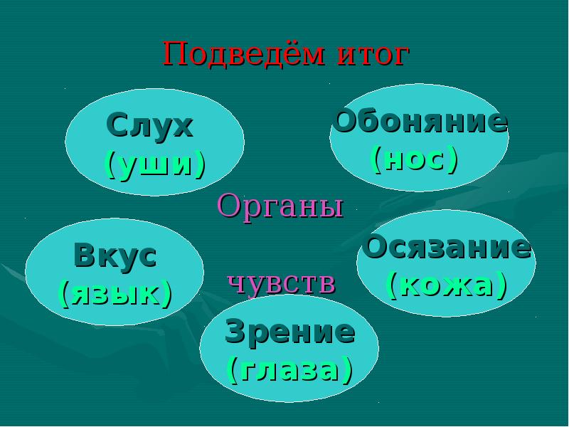 Органы чувств 3 класс презентация школа россии