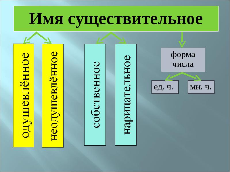 Презентация по теме имя существительное повторение 5 класс презентация