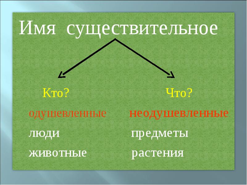 Повторение имя существительное 3 класс презентация