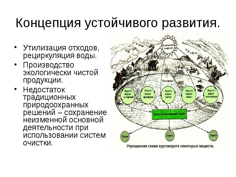 Концепция проблемы. Концепция устойчивого развития экология кратко. Возникновение концепции устойчивого развития в экологии. Концепция устойчивого развития схема. Концепция устойчивого развития экология проблемы.