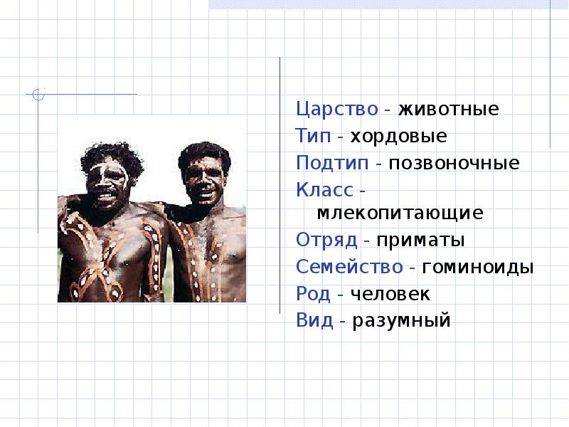 Вид отряд семейство класс. Царство класс отряд род человек. Царство Тип класс отряд вид человека. Царство животные Тип класс отряд семейство род вид человек разумный. Вид род семейство отряд класс Подтип человека.