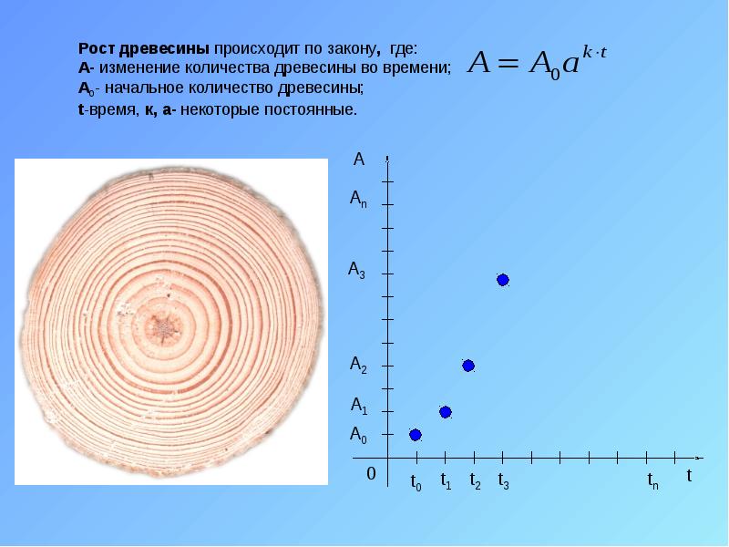 Рост древесины происходит по закону, где: A- Рост древесины происходит по закону, где: A-