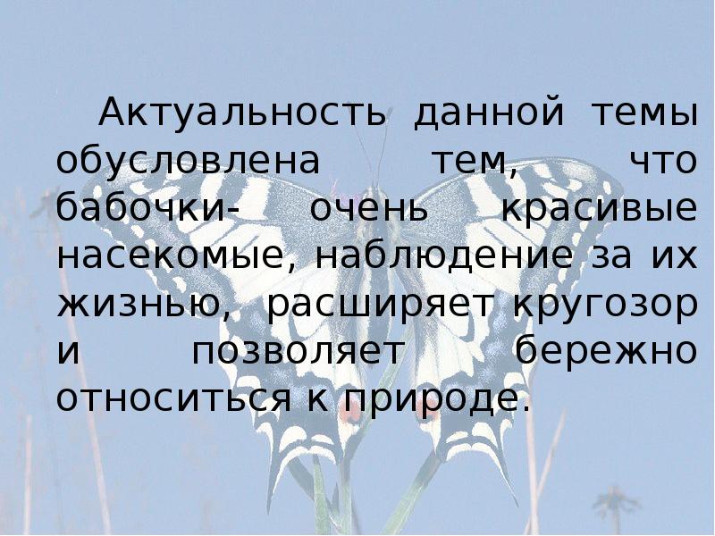 Актуальность проекта бабочки