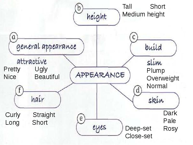 Appearance 8 класс комарова презентация