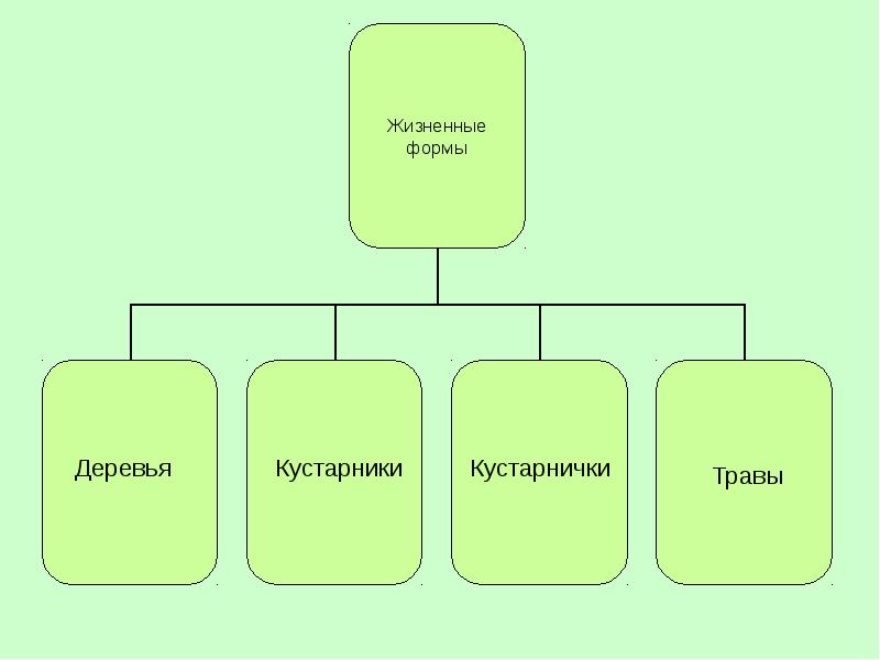 Жизненная форма это. Деревья кустарники кустарнички травы. Составить схему жизненные формы растений. Составить схему жизненные формы растений 6 класс. Многообразие жизненных форм растений 6 класс в схемах.