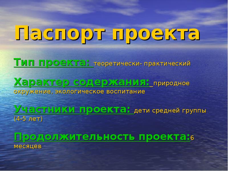 Паспорт проекта вода