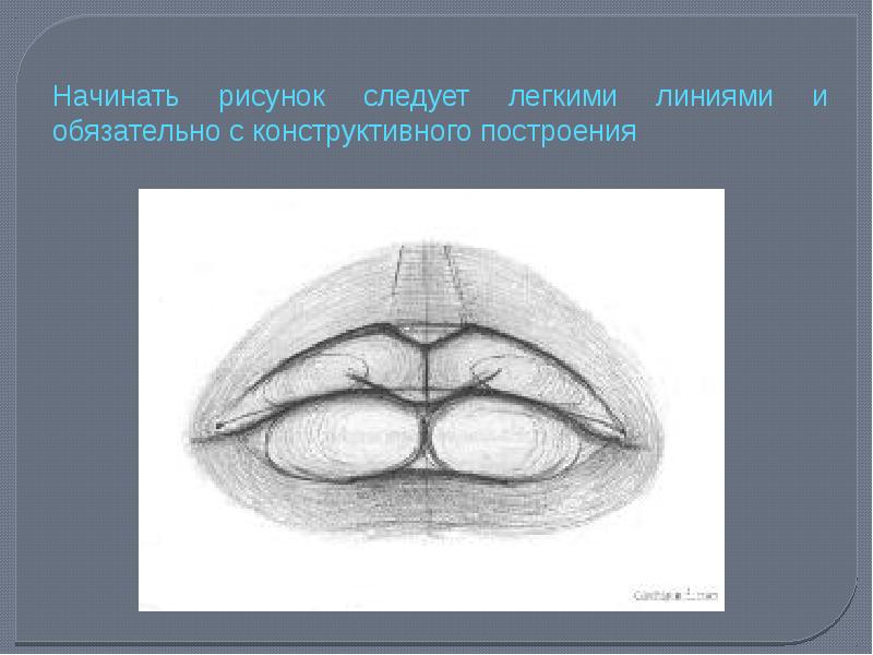 Как следует из рисунка. Презентация рисование губ. Рисунок губ с линиями построения.