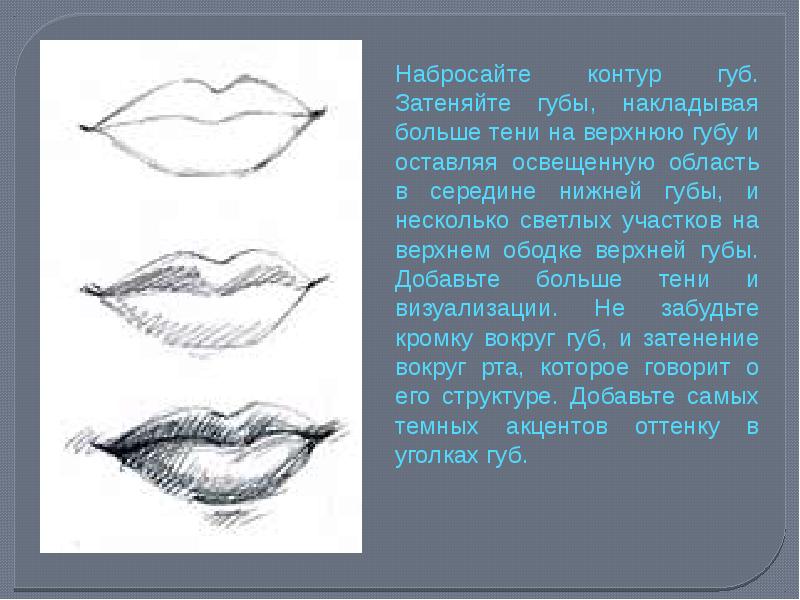 Какая губа темнее верхняя или нижняя в рисунке