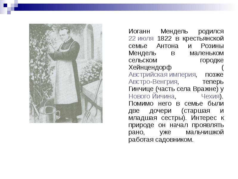 Фото Юлия Мендель