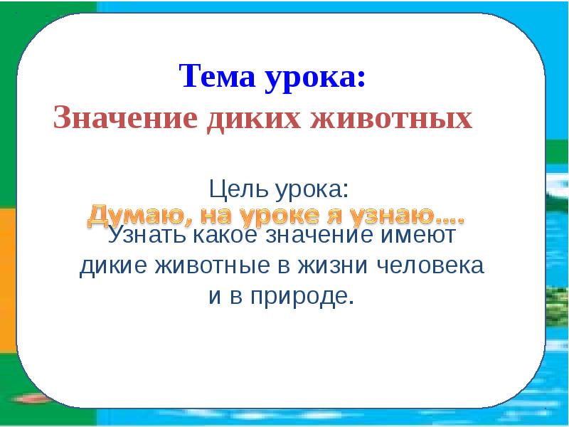 Дикий значение. Дикий значение. Дикие животные польза. Дикий значение. Значение дикий и диковинный.