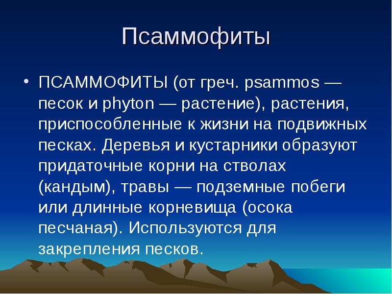 приспособления растений к почве. псаммофиты примеры растений. псаммофиты примеры растений. псаммофиты примеры. псаммофиты примеры.