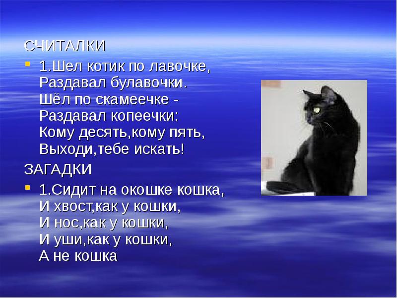 Загадка про кота. Загадка про кошку. Загадки о котах и кошках. Загадки на тему кошка. Загадка о коте.