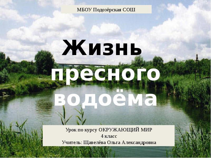 Жизнь в пресных водах презентация