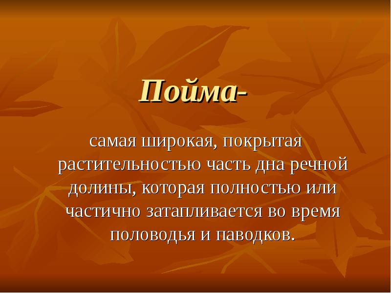 Пойма-
самая широкая, покрытая растительностью часть дна речной долины, которая полностью Пойма-
самая широкая, покрытая растительностью часть дна речной долины, которая полностью