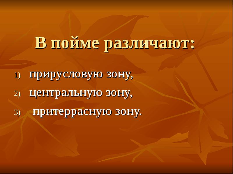 В пойме различают:
прирусловую зону,
центральную зону,
притеррасную зону. В пойме различают:
прирусловую зону,
центральную зону,
притеррасную зону.