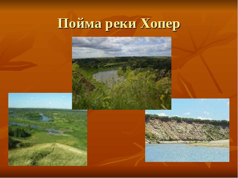 Пойма реки Хопер Пойма реки Хопер