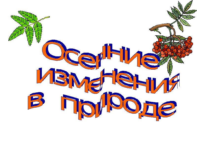 Летние изменения в природе 1 класс презентация