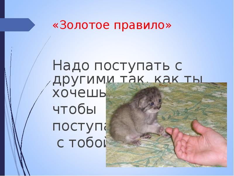 Знаю как надо а поступаю как хочу. Знаю как надо а поступаю как хочу