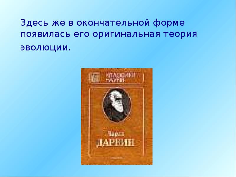 Окончательный вид. Кроссворд на тему дарвинизм по биологии.