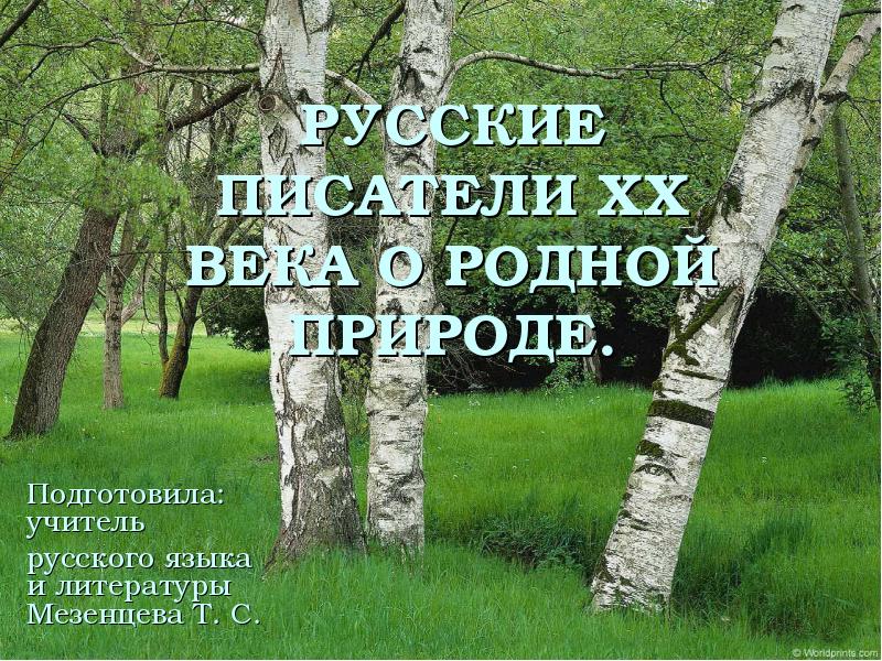 Презентация писатели и поэты 20 века о родине родной природе и о себе