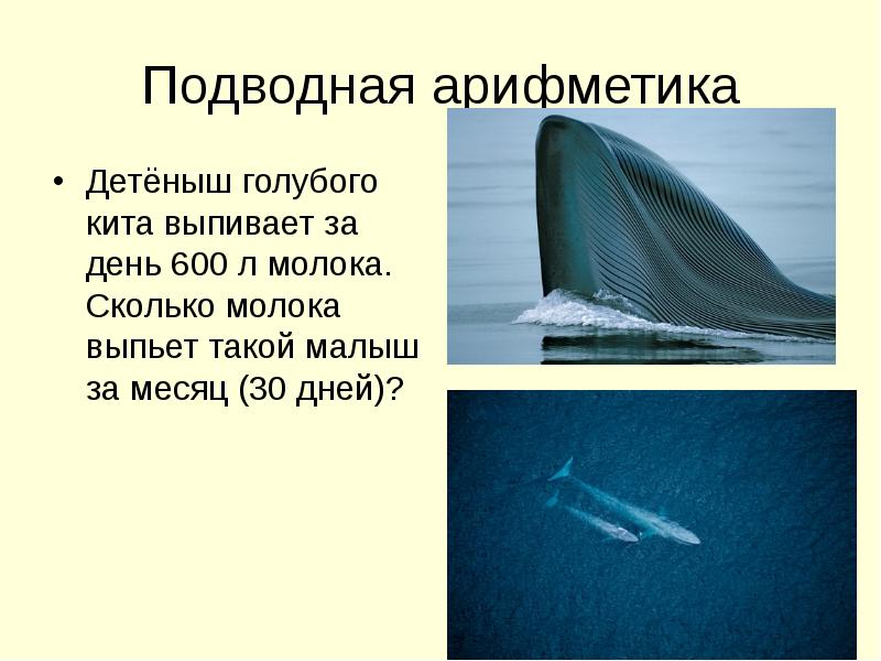 Ppt4web ru презентации