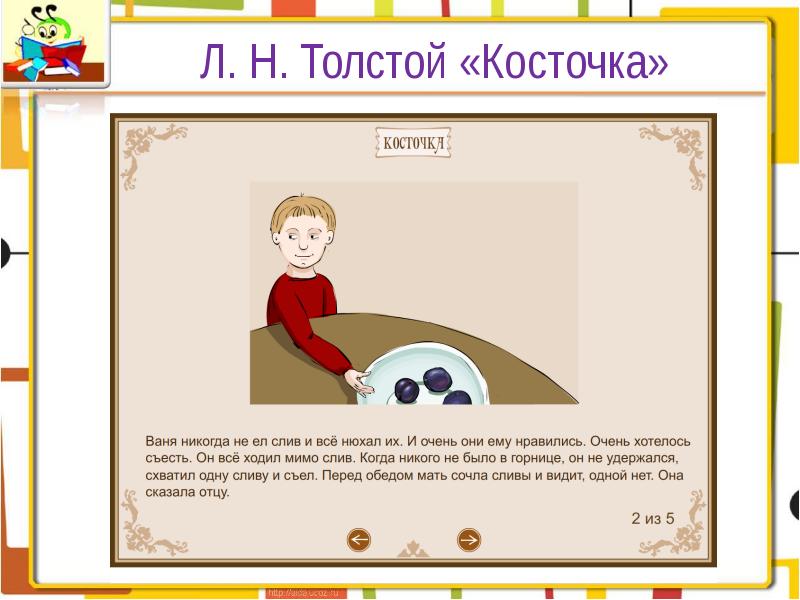 Косточка толстой презентация