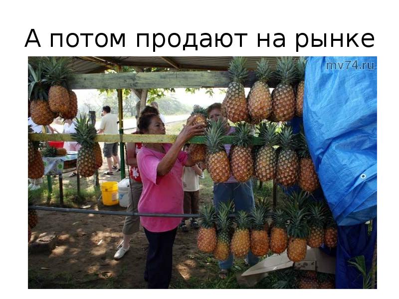 Потом продам