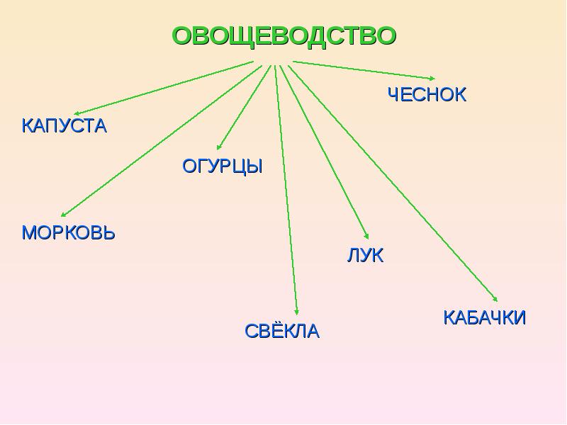 Растениеводство в нашем крае 4 класс окружающий мир презентация школа россии презентация