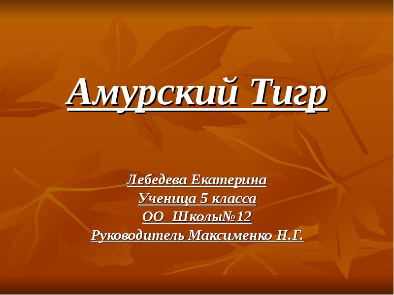 Амурский тигр презентация 5 класс