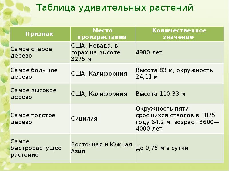 Продолжительность жизни деревьев окружающий мир. Продолжительность жизни деревьев. Срок жизни деревьев таблица. Продолжительность жизни деревьев таблица. Таблица жизни растений.