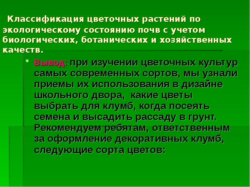 Растения школьного двора презентация