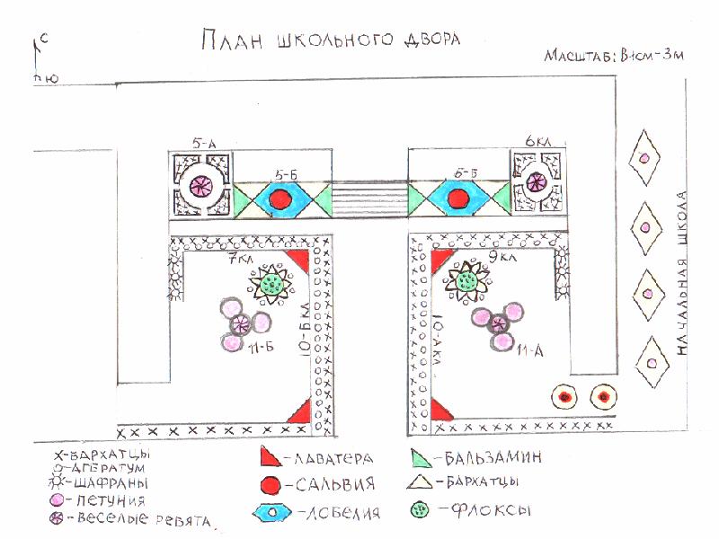 План школьного двора