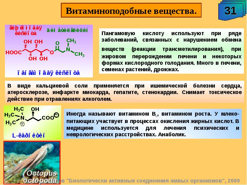 Витаминоподобные вещества презентация гигиена