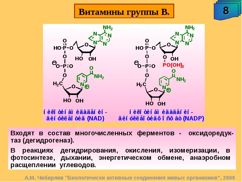 Энзим витамины